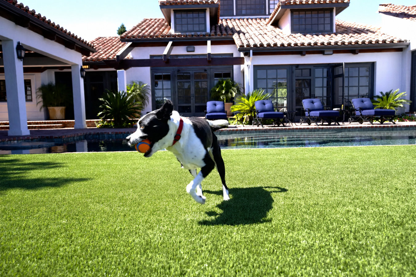 Pet-friendly turf